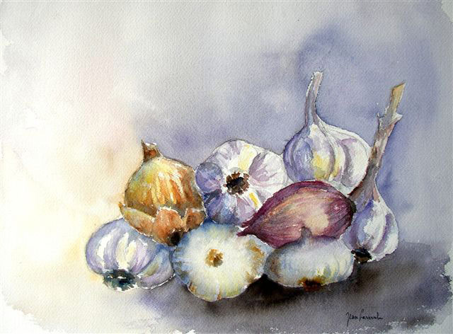 L'allium sativum : Aquarelle de J. Lavernhe L'allium sativum (l'ail), Mp3 illusté avec une quarelle de J. LAVERNHE.