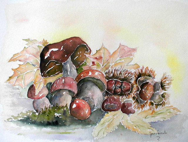 « Champignons et chataignes d'automne » - Aquarelle de J. Lavernhe. « Champignons et chataignes d'automne. » - Nature morte de J. Lavernhe (Aquarelle)