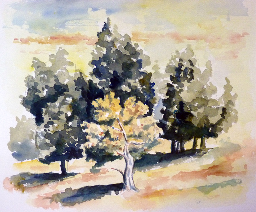 Le bosquet d'arbres en Provence - Aquarelle de J. Lavernhe