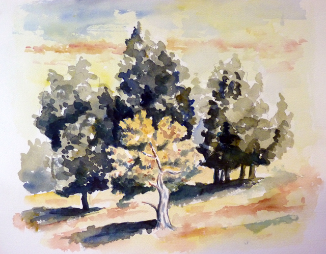 Le bosquet d'arbres en Provence Le bosquet d'arbres en Provence