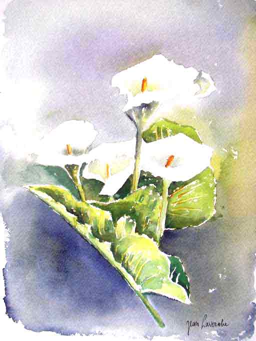 « Le bouquet d'arums » - Aquarelle de J. Lavernhe. Les arums. Aquarelle de Jean LAVERNHE - Chansons et Mp3
