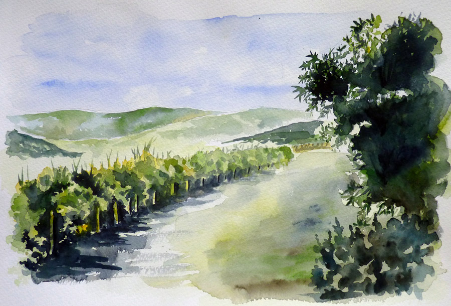 Les vignes de Provence - Aquarelle de J. Lavernhe