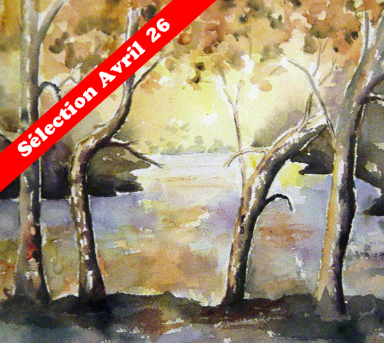 Notre sélection mensuelle