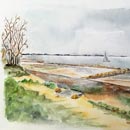 Île de Ré