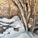 Forêt sous la neige
